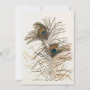 Search for peacock christmas cards Retro