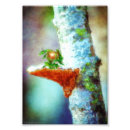 Search for winged dragon art Dragons