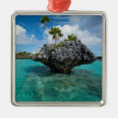 Search for fiji christmas tree decorations Clear