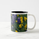 Search for bluebonnets mugs Field