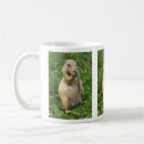Search for prairie dog mugs Rodent