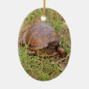 Search for turtle oval christmas tree decorations Reptile