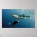 Search for mexico vacation posters Sea