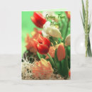Search for spring time cards Season