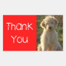 Search for golden doodle stickers Puppies