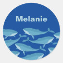 Search for swimming stickers Ocean