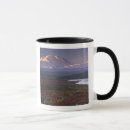 Search for tundra mugs Denali national park
