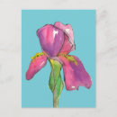 Search for purple iris stamp postcards Plant