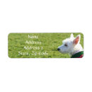 Search for westies return address labels Terriers