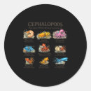 Search for cephalopod stickers Animal