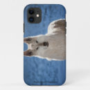 Search for wolf cases Apple