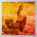 Search for vintage farm animal posters Farmhouse