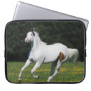 Search for grassy cases Horse