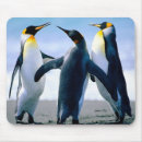 Search for penguins mousepads King penguin