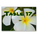 Search for plumeria wedding table cards Hawaiian