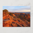 Search for coed postcards Sunrise