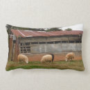 Search for sheep farming cushions Lamb