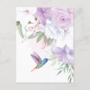Search for garden birds postcards Hummingbird