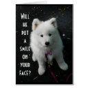 Search for spitz dog postcards Photography