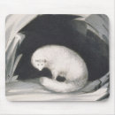 Search for ross mousepads Animals