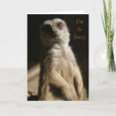 Search for cute sympathy cards Wildlife