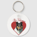 Search for smooth key rings Collie