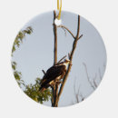 Search for osprey christmas tree decorations Photography