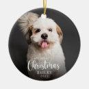 Search for puppys first christmas New puppy