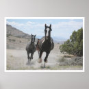 Search for galloping posters Photograph