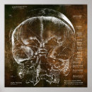Search for vintage anatomy posters Retro