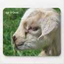 Search for funny goat mousepads Photography