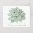Search for succulent save the dates Mint