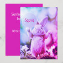 Search for easter for friend Rabbit