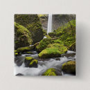 Search for creek fall badges Stream