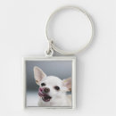 Search for anticipation key rings Animal