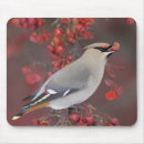 Search for lightning mousepads Wild