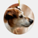 Search for jack russel terrier christmas tree decorations Cute