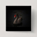 Search for beak badges Bird