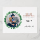 Search for pine branches christmas cards Green