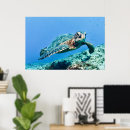 Search for green turtle posters Nature