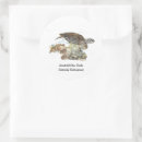 Search for painted turtle stickers Marine life