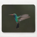 Search for birder electronics Animal