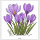 Search for crocus stickers Garden
