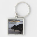 Search for california key rings Colour image