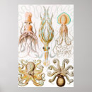Search for squid posters Ernst haeckel