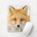 Search for arctic fox mousepads Alaska
