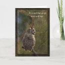 Search for wiser cards Owl