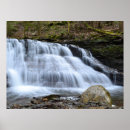 Search for in early spring posters Photography