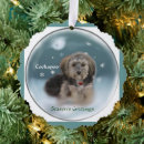 Search for cockapoo christmas cards Dogs