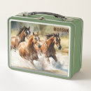 Search for horse lunch boxes Back to school